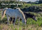 Couverture du livre « La beaute du cheval semi sauva » de Demange Photogr aux éditions Calvendo