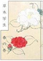 Couverture du livre « Japan botanist 17th spring flowers » de  aux éditions Pie Books