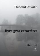 Couverture du livre « Brume » de Thibaud Cavalie aux éditions Le Lys Bleu