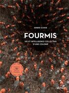 Couverture du livre « Fourmis : vie et intelligence collective d'une colonie ; immersion en 3D dans une fourmilière » de Armin Schieb aux éditions Eugen Ulmer