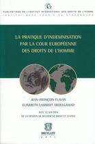 Couverture du livre « Pratique d'indemnisation des droits de l'homme » de Jean-Francois Flauss aux éditions Bruylant
