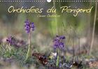 Couverture du livre « Orchidees du perigord calendrier mural 2018 din a3 horizonta - belles et fragiles fleurs sauv » de Oosterlee C aux éditions Calvendo