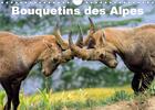 Couverture du livre « Bouquetins des Alpes (Calendrier mural 2020 DIN A4 horizontal) ; Plans rapprochés et portrait de bouquetins des Alpes (Calendrier mensuel, 14 Pages ) » de Elena Duvernay aux éditions Calvendo