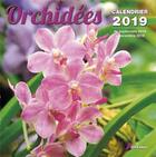 Couverture du livre « Orchidees (2019) » de  aux éditions Artemis