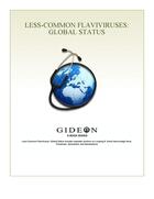 Couverture du livre « Less-common flaviviruses ; global status » de Gideon Informatics Inc. aux éditions Gideon Informatics