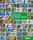 Couverture du livre « Oiseaux de Bretagne » de Francois De Beaulieu aux éditions Glenat