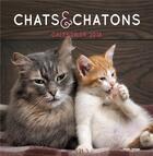 Couverture du livre « Calendrier chats et chatons (édition 2018) » de  aux éditions Hugo Image