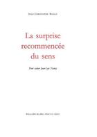 Couverture du livre « La surprise recommencée du sens » de Jean-Christophe Bailly aux éditions William Blake & Co