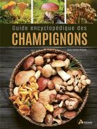 Couverture du livre « Guide encyclopédique des champignons » de Jean-Marie Polese aux éditions Artemis