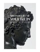 Couverture du livre « Splendeurs de Volubilis » de  aux éditions Actes Sud