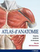 Couverture du livre « Atlas d'anatomie ; organes, systèmes et structures » de Sobotta aux éditions Ullmann