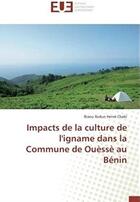 Couverture du livre « Impacts de la culture de l'igname dans la Commune de Ouèssè au Bénin » de Biaou Ibidun Herve Chabi aux éditions Editions Universitaires Europeennes