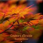 Couverture du livre « Couleurs d erable calendrier mural 2018 300 300 mm square - les formes graciles et les cou » de Biewer B aux éditions Calvendo