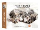 Couverture du livre « 52 semaines chats et chatons » de Aco aux éditions Hugo Image