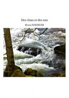 Couverture du livre « Des chats et des rats » de Bruno Edeinger aux éditions Thebookedition.com