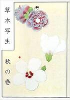 Couverture du livre « Japan botanist ; 17th fall flowers » de  aux éditions Pie Books