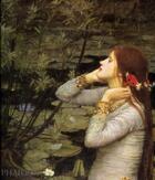 Couverture du livre « J.W. Waterhouse » de Trippipeter aux éditions Phaidon