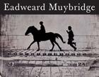 Couverture du livre « Eadweard Muybridge » de Phillip Brookman aux éditions Tate Gallery