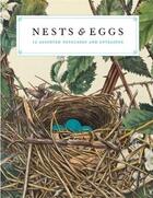 Couverture du livre « Nests & Eggs Notecards /Anglais » de Princeton aux éditions Princeton Architectural