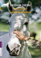 Couverture du livre « Un amour de cheval » de Nancy Springer aux éditions Pere Castor