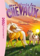 Couverture du livre « Mes amis les chevaux Tome 6 : une rencontre inoubliable » de Sophie Thalmann aux éditions Hachette Jeunesse