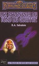 Couverture du livre « La trilogie du retour aux sources t.1 ; les revenants du fond du gouffre » de R. A. Salvatore aux éditions Fleuve Editions