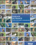 Couverture du livre « Oiseaux de France, Suisse, Belgique, Luxembourg » de Sandrine Stefaniak aux éditions Glenat