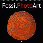 Couverture du livre « FossilPhotoArt (calendrier mural 2017 300 × 300 mm Square); photos de fossiles manipulées à l'ordinateur » de Gero Moosleitner aux éditions Calvendo