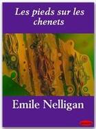 Couverture du livre « Les pieds sur les chenets » de Emile Nelligan aux éditions Ebookslib