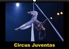 Couverture du livre « Circus Juventas (Calendrier mural 2016 DIN A3 horizontal) ; Le Circus Juventas est une école de cirque dans le Minnesota (Calendrier mensuel) » de Alain Hanel aux éditions Calvendo