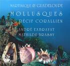 Couverture du livre « Martinique et Guadeloupe ; mollusques du récif corallien » de Andre Exbrayat et Mathilde Brassy aux éditions L'harmattan