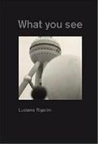 Couverture du livre « Luciano rigolini what you see » de Luciano Rigolini aux éditions Lars Muller