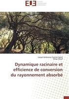 Couverture du livre « Dynamique racinaire et efficience de conversion du rayonnement absorbé » de Omar Diouf et Laope Ambroise Casimir Siene aux éditions Editions Universitaires Europeennes