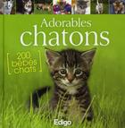 Couverture du livre « Adorables chatons ; 200 bébés chats » de Yann Belloir aux éditions Edigo