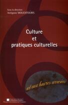 Couverture du livre « Culture et pratiques culturelles ; art aux heures arrosées » de Mouchtouris A aux éditions Pu De Perpignan
