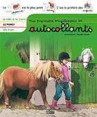 Couverture du livre « Le poney » de Marcelle Geneste et Yvette Barbetti aux éditions Lito
