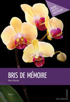 Couverture du livre « Bris de mémoire » de Marie Deluneq aux éditions Mon Petit Editeur