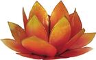 Couverture du livre « Photophore lotus - coloris rose et jaune » de  aux éditions Dg-exodif