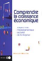 Couverture du livre « Comprendre la croissance economique ; analyse au niveau macroeconomique sectoriel de l'entreprise (édition 2004) » de  aux éditions Documentation Francaise