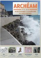 Couverture du livre « Archeam 2013 » de  aux éditions Memoires Millenaires