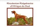 Couverture du livre « Rhodesian ridgebacks d afrique du sud calendrier mural 2020 din a4 horizontal - rhodesian ridgebacks (édition 2020) » de Van Wyk Www.G aux éditions Calvendo