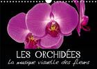Couverture du livre « Les orchidees la musique visuelle des fleurs calendrier mural 2020 din a4 horizo - egayez votre quot » de Verenin Vronja aux éditions Calvendo