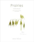 Couverture du livre « Prairies ; papillons et plantes champêtres de nos contrées » de Sandra Lefrancois aux éditions Domus Natura