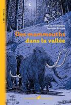 Couverture du livre « Des mammouths dans la vallée » de Sylvie De Mathuisieulx et Benjamin Strickler aux éditions La Nuee Bleue