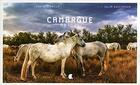 Couverture du livre « Camargue nature ; photos de Yann Guichaoua » de Yann Guichaoua et Julia Guichaoua aux éditions Alcide