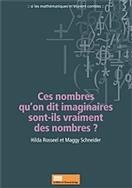 Couverture du livre « Ces nombres qu'on dit imaginaires sont-ils vraiment des nombres? » de Hilda Rosseel aux éditions Pulg