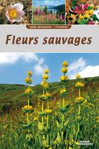 Couverture du livre « Guide découverte fleurs sauvages » de Graveline et Debaisieux aux éditions Debaisieux