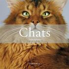 Couverture du livre « Chats » de Claude Pacheteau aux éditions Flammarion