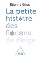 Couverture du livre « La petite histoire des flocons de neige » de Etienne Ghys aux éditions Odile Jacob