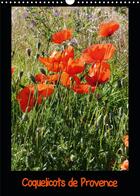 Couverture du livre « Coquelicots de Provence (Calendrier mural 2020 DIN A3 vertical) ; Photos des coquelicots de Provence (Calendrier mensuel, 14 Pages ) » de Dumont Brigitte aux éditions Calvendo